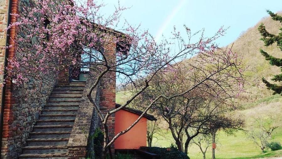 Agriturismo Paradiso41 Assis Exterior foto